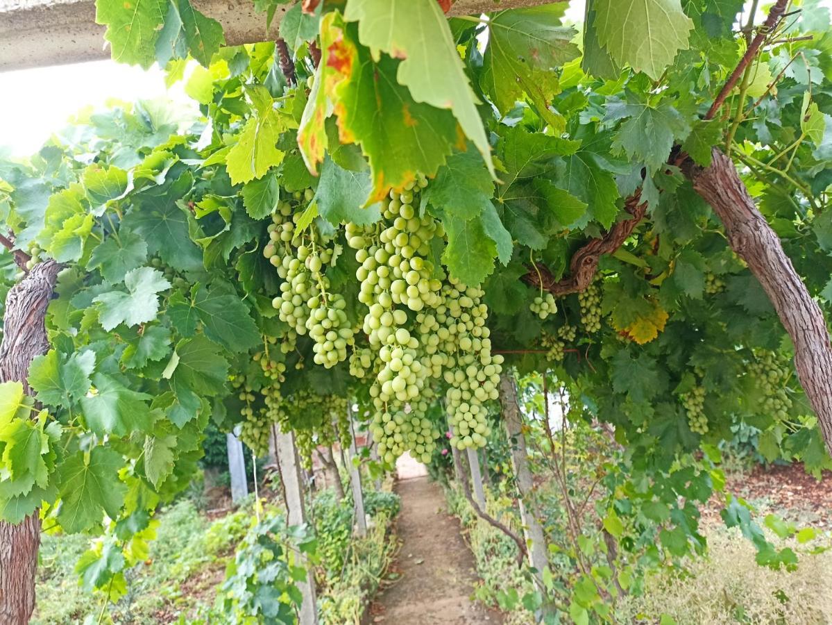 Willa Trullo22 Martina Franca Zewnętrze zdjęcie